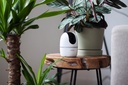 Caméra de surveillance Wifi intérieure 4 Mégapixels
